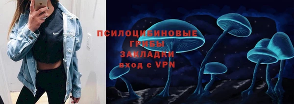 шишки Баксан