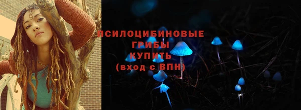 шишки Баксан