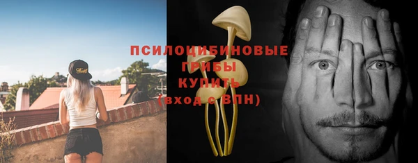 PSILOCYBIN Армянск