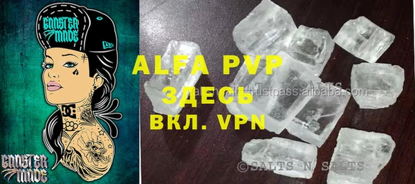 ПСИЛОЦИБИНОВЫЕ ГРИБЫ Арсеньев