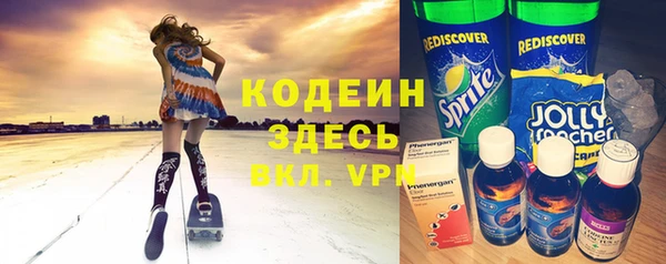 ПСИЛОЦИБИНОВЫЕ ГРИБЫ Арсеньев