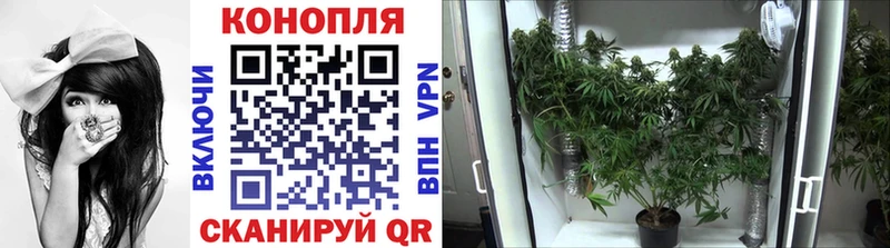 площадка клад  Бежецк  Конопля марихуана  продажа наркотиков 